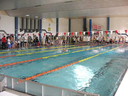 Das Wettkampfbecken beim 30. Internationalen Schwimmfest