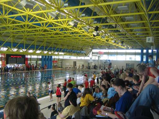 Die 50m-Schwimmhalle in der Sportschule der Bundeswehr war während des Warendorfer Pokalschwimmens gut besucht.