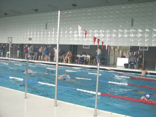 Das Wettkampfbecken beim 11. Internationalen Schwimmwettkampf